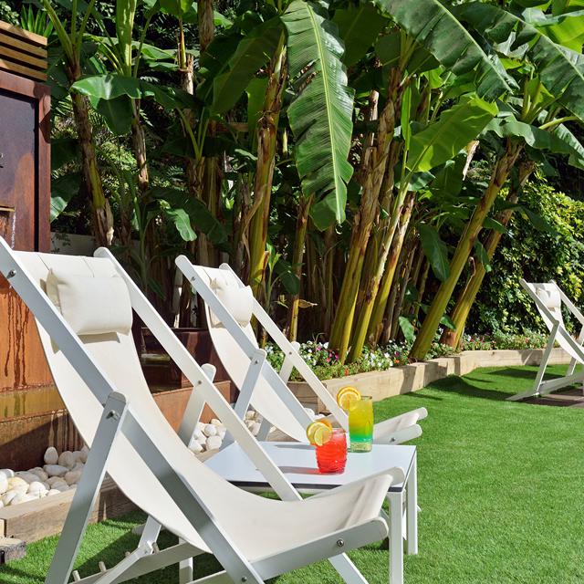 Hôtel Meliá Costa del Sol photo 22