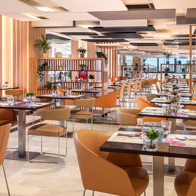 Hôtel Meliá Costa del Sol photo 8