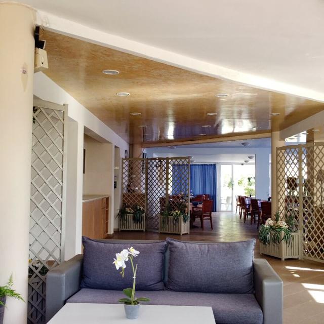 Sun & Sea studios & appartements photo 16