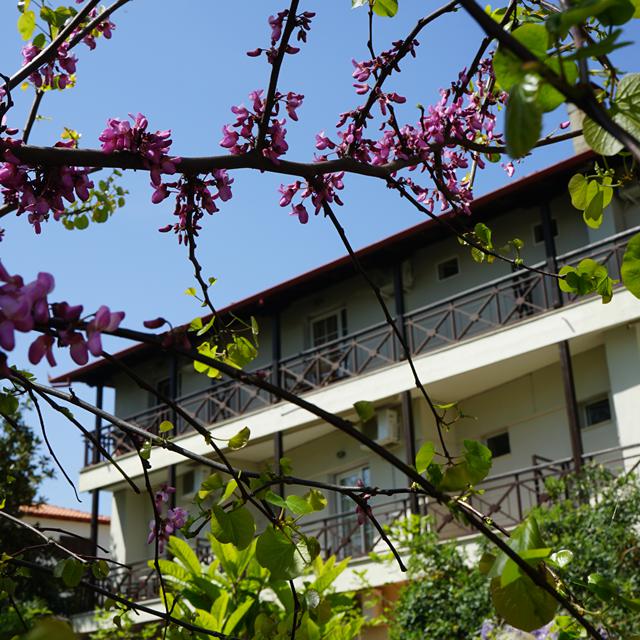 Hôtel Morfeas photo 2