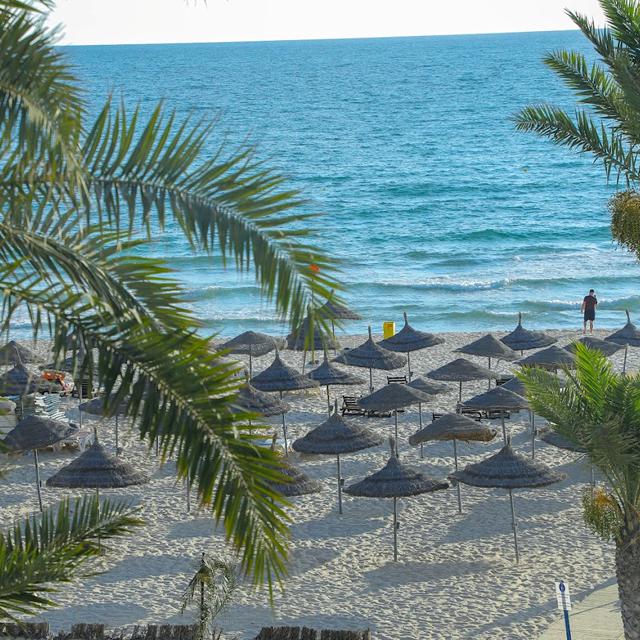 Hôtel Riadh Palms photo 28