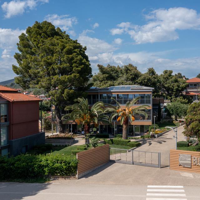 Hôtel Blue Dolphin photo 28