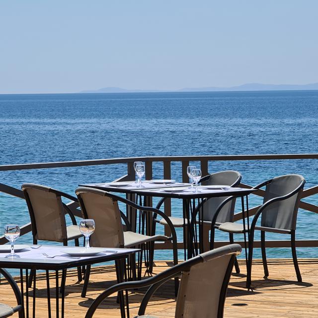 Hôtel Blue Dolphin photo 9