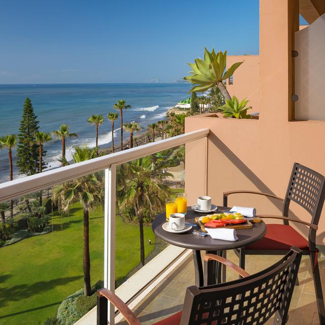 Elba Estepona Gran Hotel & Talasso SPA photo 27