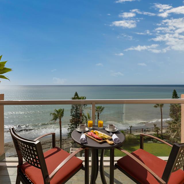 Elba Estepona Gran Hotel & Talasso SPA photo 28
