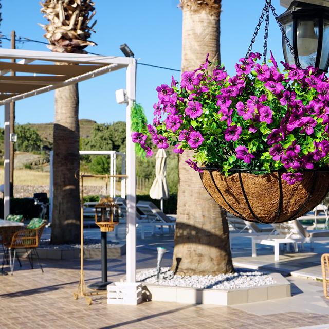 Appartements Marilena photo 3