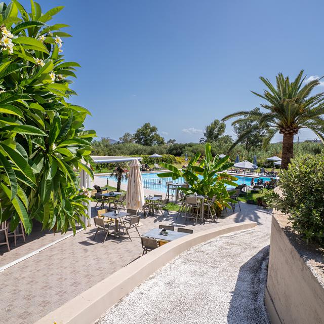 Aparthotel Alfa photo 16