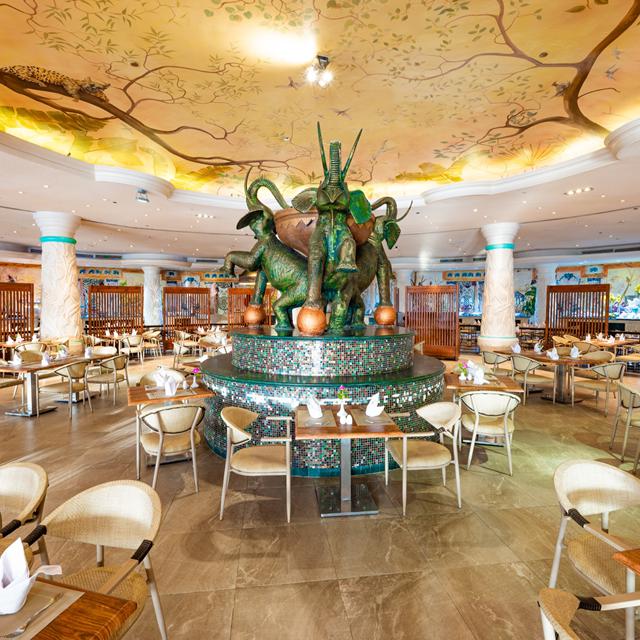 Hôtel Sentido Caribbean Soma Bay photo 5