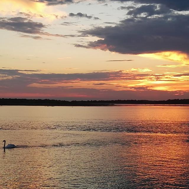 Hôtel Laguna Park photo 18