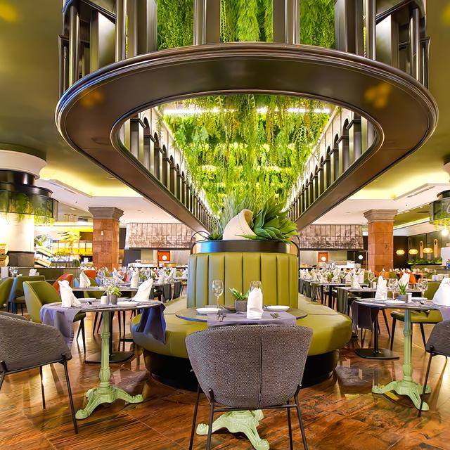 Hôtel R2 Rio Calma photo 6