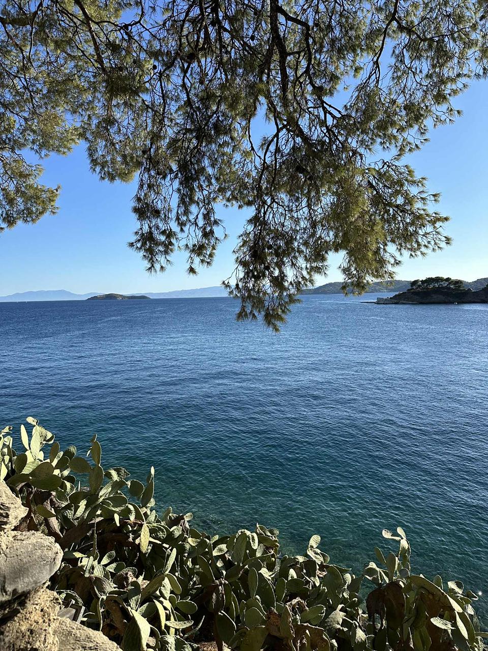 Skiathos  Photo : 3 sur 4