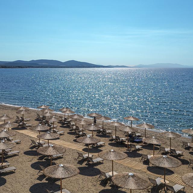 Hôtel Blue Lagoon Queen photo 8