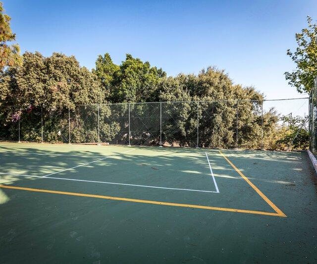 White Olive Premium Lindos photo 10