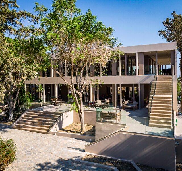 White Olive Premium Lindos photo 14