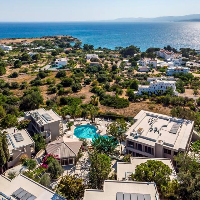 White Olive Premium Lindos photo 1