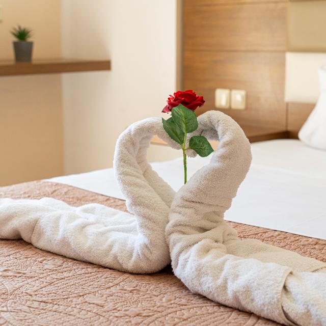 Studio's Virginia photo 12