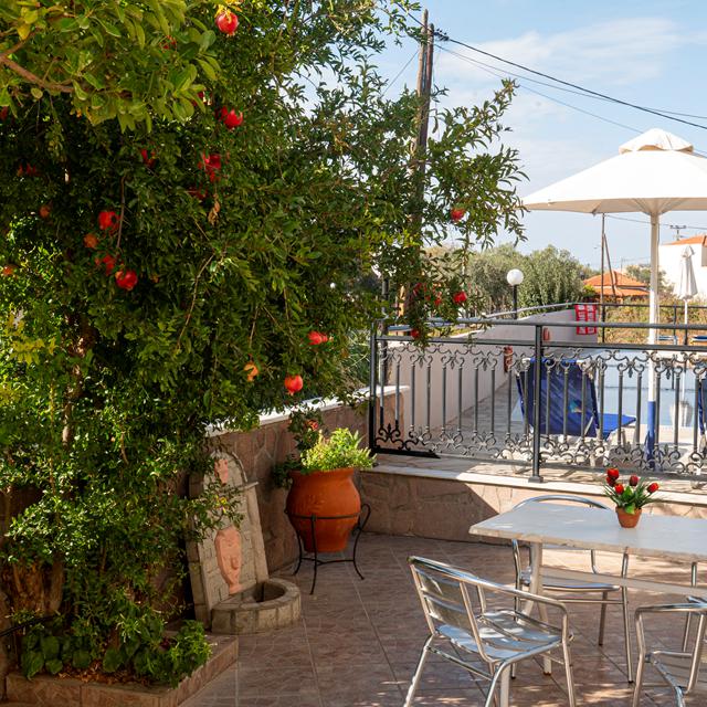 Studio's Virginia photo 3