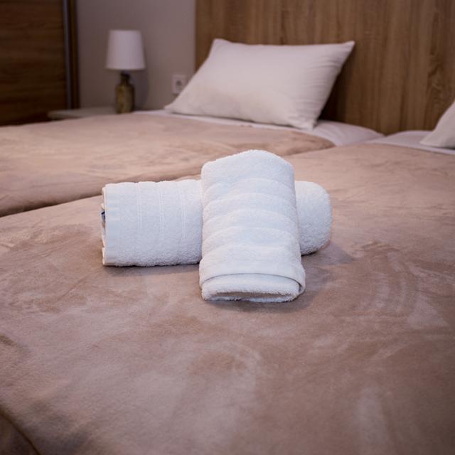 Appartements Dionisos photo 8