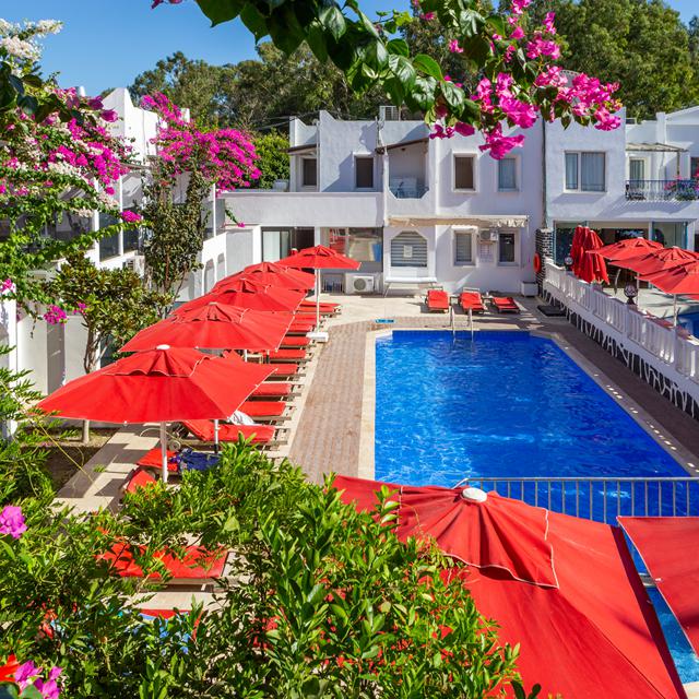 Hôtel The Hello photo 8