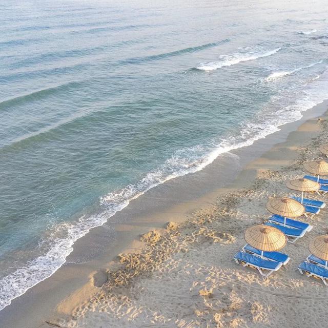 Hôtel Proxima photo 10