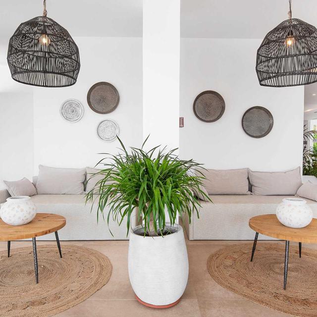 Hôtel Elvita Beach photo 13