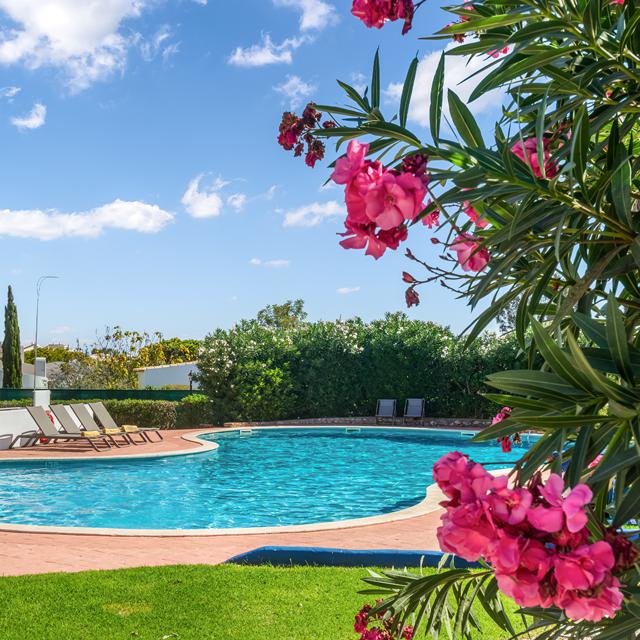 Appartements Quinta do Paraiso photo 8