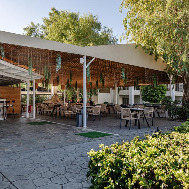 Hôtel Amaryllis photo 7