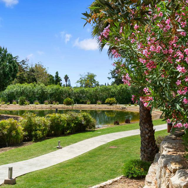 Vale de Milho Village - Voiture de location incluse photo 10