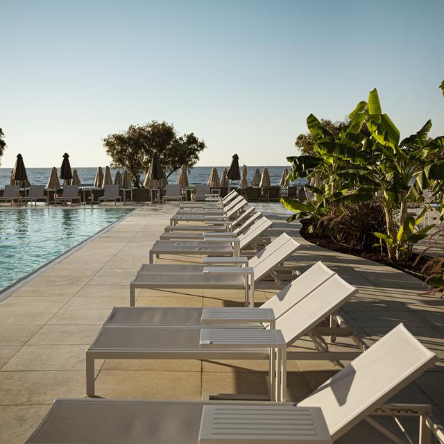 Domes Aulus Zante, Autograph Collection photo 14