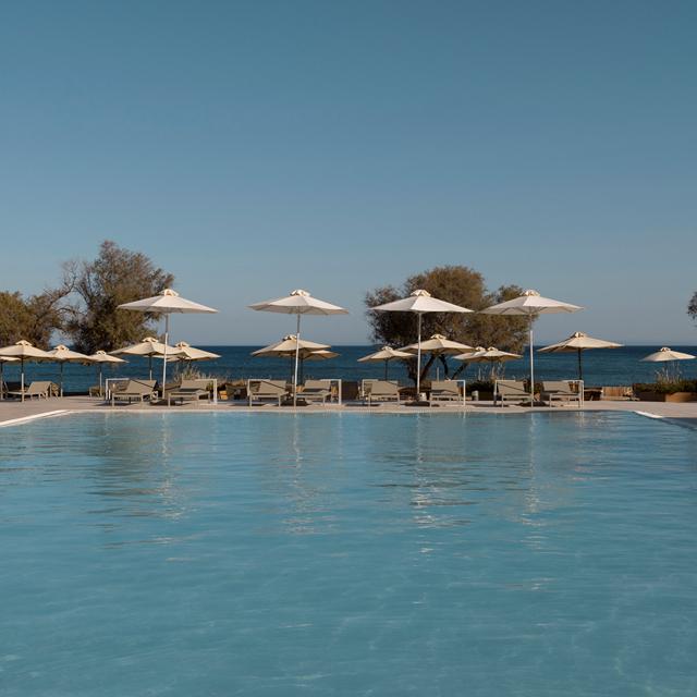 Domes Aulus Zante, Autograph Collection photo 13