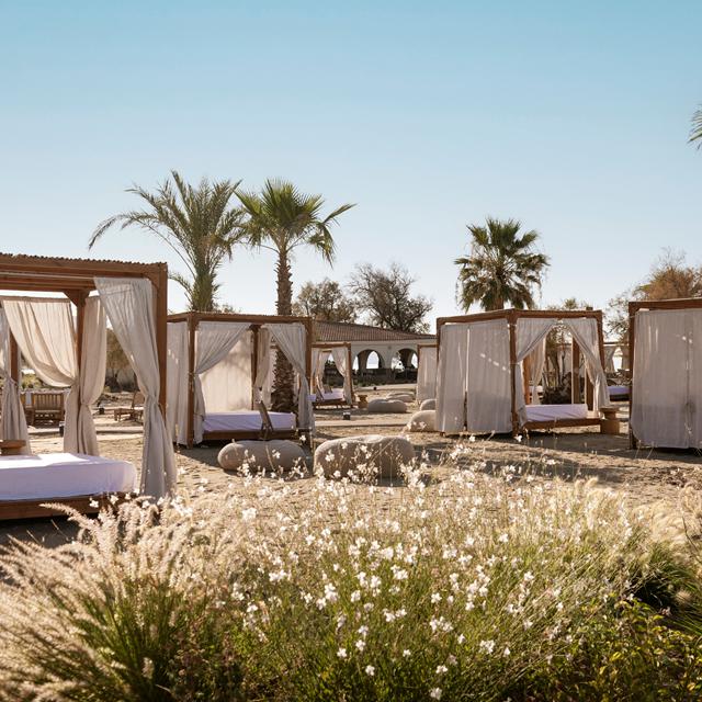 Domes Aulus Zante, Autograph Collection photo 16