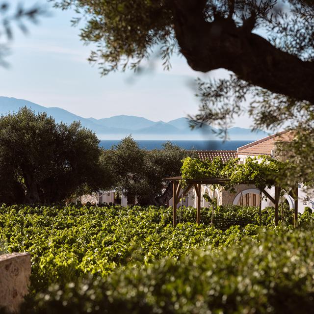 Lesante Cape - The Leading Hotels of the World photo 20