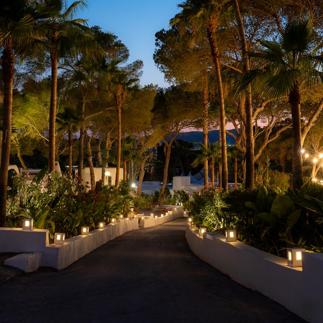 FERGUS Style Punta Arabi photo 22