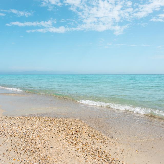 Alexander the Great Beach Hotel photo 12