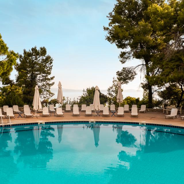 Alexander the Great Beach Hotel photo 10