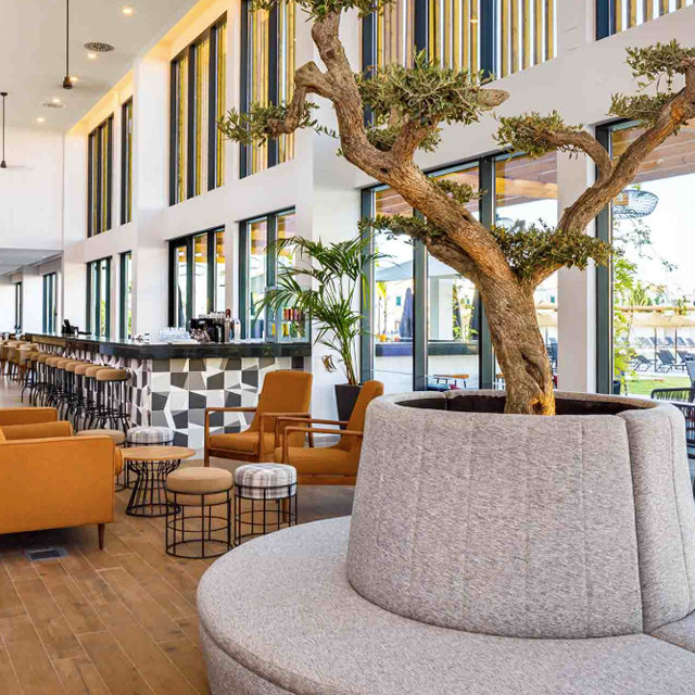 Hôtel AP Cabanas Beach & Nature - all inclusive photo 7