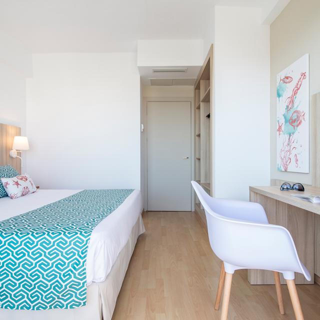 Smy Portocolom photo 4