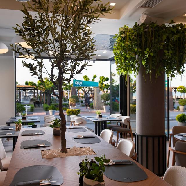 Olympic Star Beach Hotel photo 1