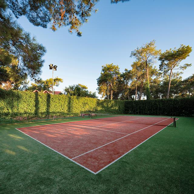 Hôtel Paloma Sencia photo 17