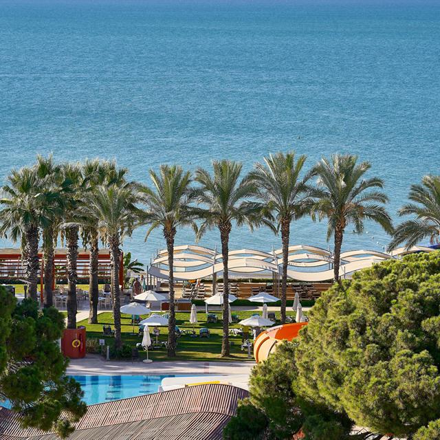 Hôtel Paloma Sencia photo 10