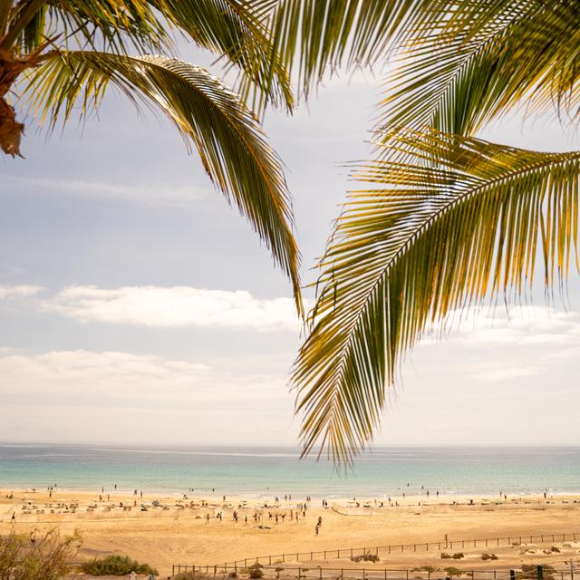 Iberostar Selection Fuerteventura Palace photo 18