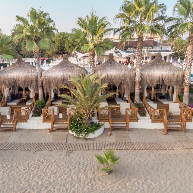 Hôtel Paloma Oceana photo 3