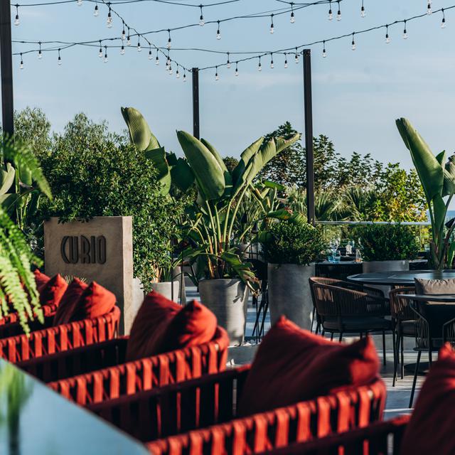 Hôtel Paloma Oceana photo 11