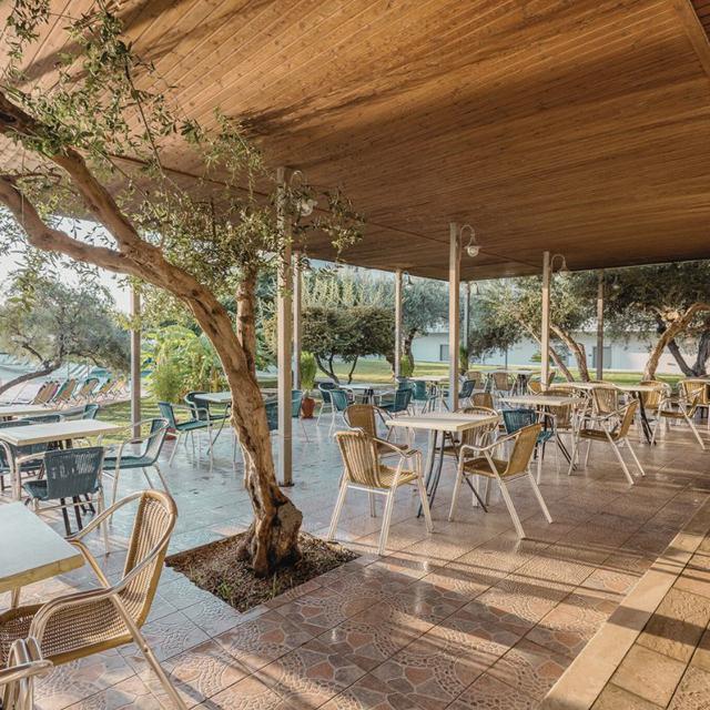 Hôtel Marianna Palace photo 3