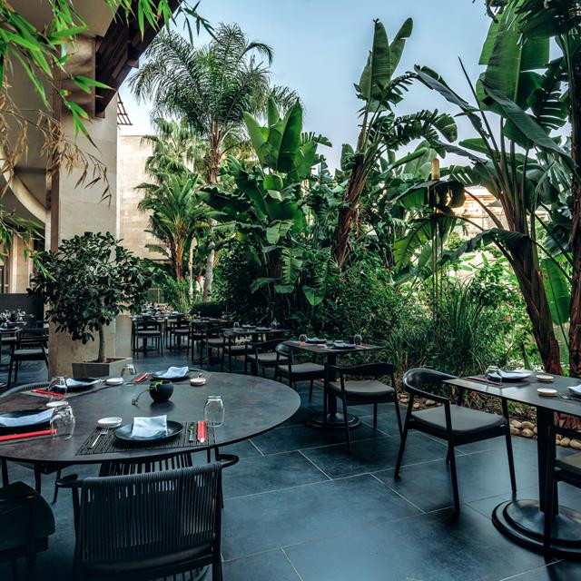 Hôtel Paloma Pasha photo 4