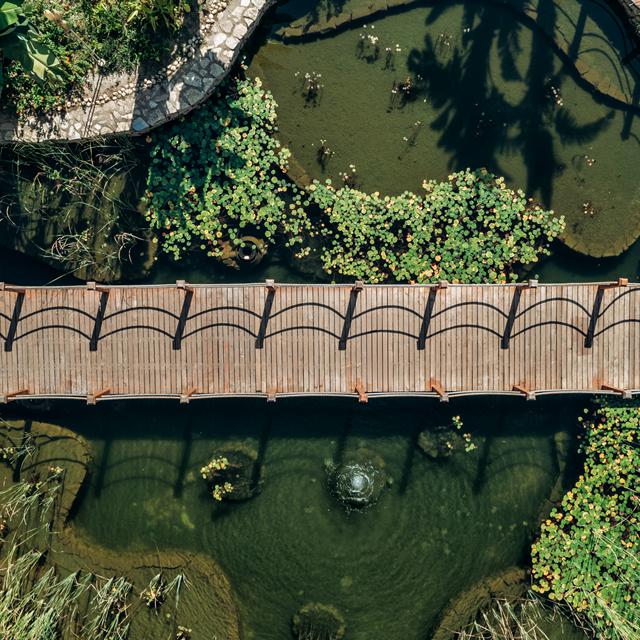 Hôtel Paloma Pasha photo 19