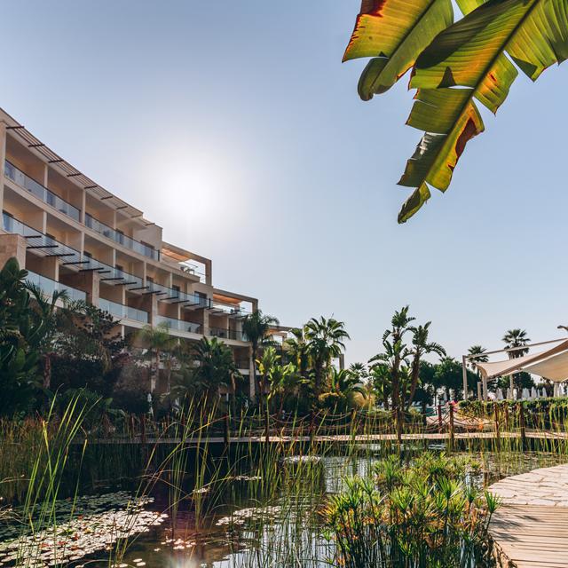 Hôtel Paloma Pasha photo 18