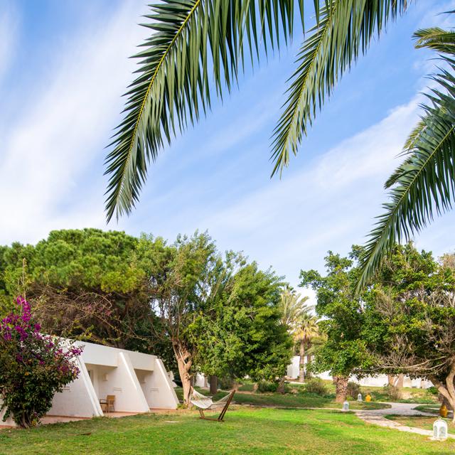 Hôtel Bel Azur Thalasso & Bungalows photo 1