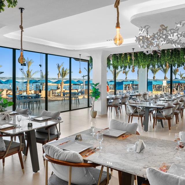 Hôtel Beach Albatros Resort photo 6