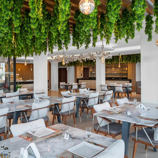 Hôtel Beach Albatros Resort photo 4